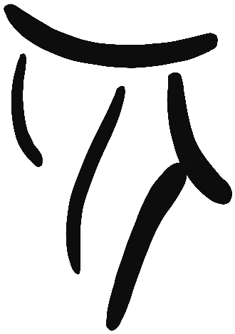 Image of the occurrence
